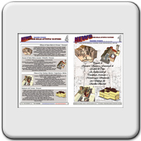NEWS Edizione Speciale 2004 (pag.4 e 1)